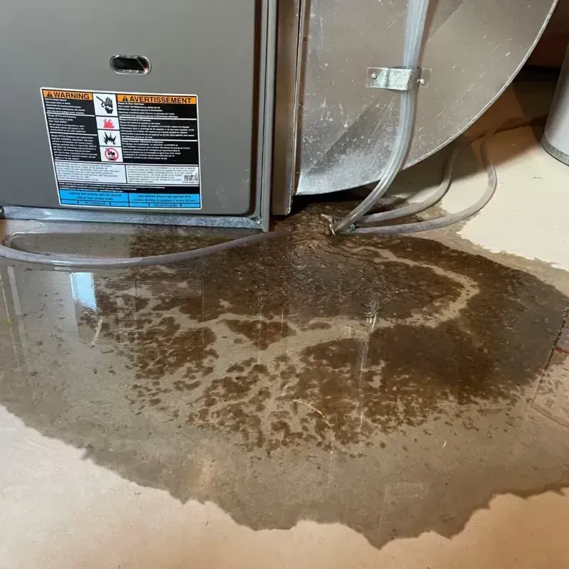 Appliance Leak Cleanup in Bridge City, TX